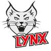  珀斯山猫女篮logo